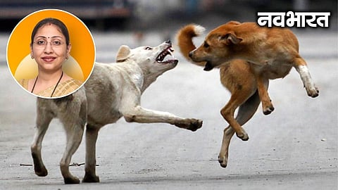 MLA Sneha Dubey raises the stray dog menace in Vasai-Virar during the Assembly session, questioning the VVMC over spending Rs 4.5 crore with poor results.