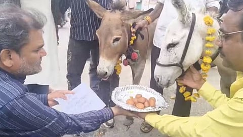 Residents of Bhopal fed gulab jamuns to donkeys as part of a traditional ritual seeking good rainfall, and the video has gone viral on social media.