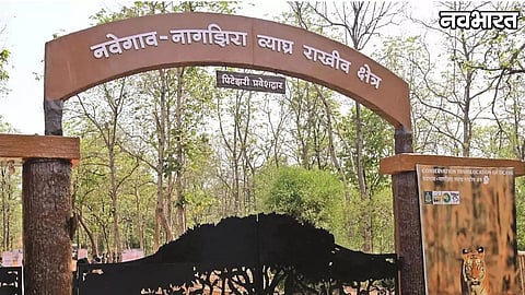 Free Jungle Safari For School Students Nawegaon Nagzira Tiger Reserve