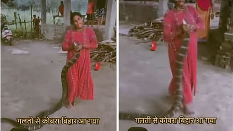 A video of a woman confidently holding a giant snake has gone viral on social media.