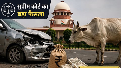 supreme court order government compensation stray cattle accidents