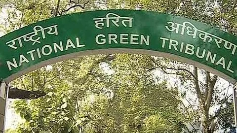 NGT panel recommends Rs 42.45 crore penalty on private firm for illegal mining in Odisha