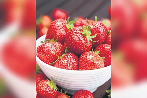 strawberries are very good for oily to combination skin