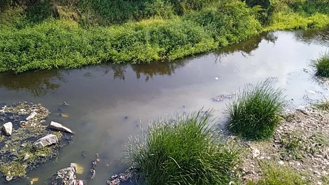 The farmers said that within a week the local body has almost filled half of the area with waste and if that is left without segregation, it would become a landfill and pollute the entire Noyyal river