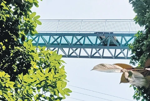 Kerala: Cracks in Akkulam glass bridge spark adventure tourism safety concerns