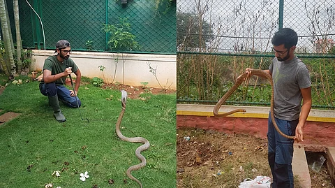 Yatin is a well known wildlife-biologist, who has worked with the renowned American-born Indian conservationist, Romulus Whitaker, also known as the ‘snakeman of India’.