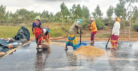 Women are seen clearing soaked grains near a procurement centre in Siddipet district. Heavy rains lashed several districts across the state on Friday, causing grains to soak in water