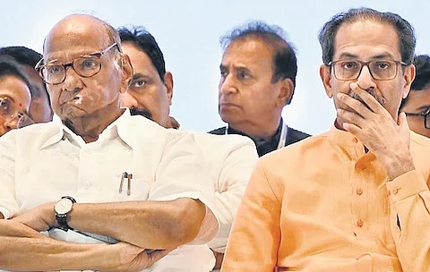 NCP supremo Sharad Pawar and Shiv Sena leader Uddhav Thackeray.