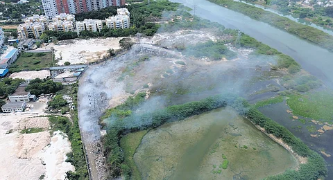 TNIE saw 20 tankers releasing raw sewage into the Muttukadu backwaters in one hour in broad daylight
