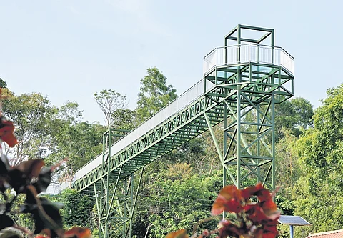 The glass bridge at Akkulam tourist village in Thiruvananthapuram