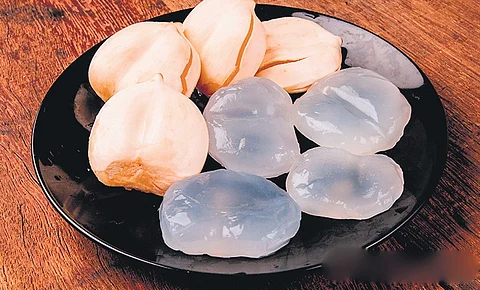 Nongu or Ice apple