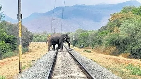 According to Railway officials, the system works within a radius of 30 meters on both sides of the railway track.