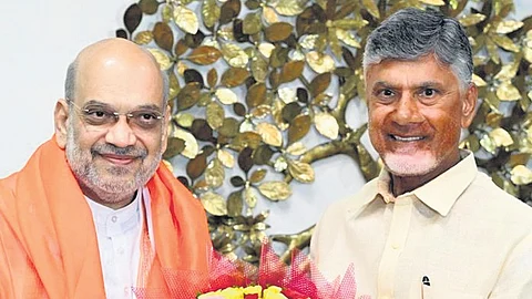 Andhra Pradesh Chief Minister designate Chandrababu Naidu with Union Minister Amit Shah