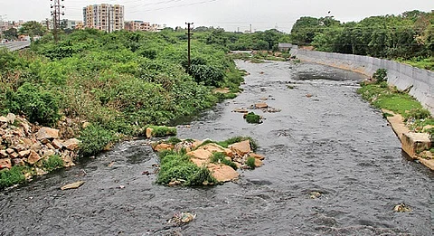 The MRDP, planned by the state government, aims to rejuvenate the 55-kilometre stretch of the polluted Musi River.