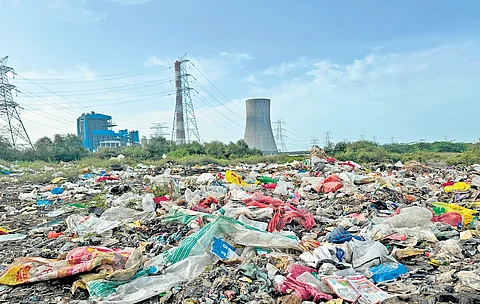 Tonnes of waste
was piled on top of young mangroves in Ennore
