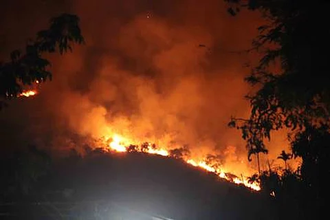 Image of forest fire used for representative purpose only.