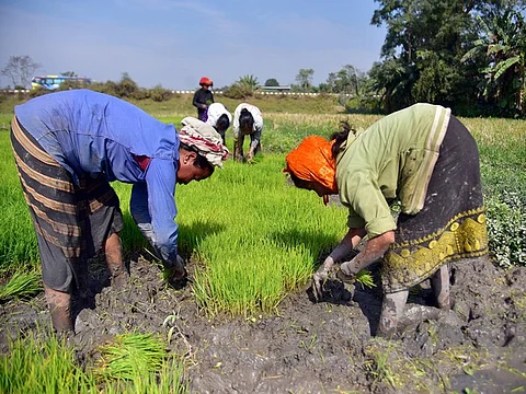 The state government has roped in the IIWM and XIMB for enhancing agricultural water productivity