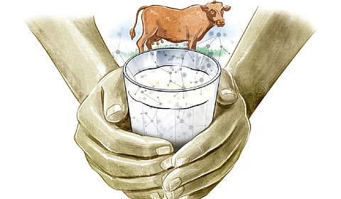 Minister for Dairy Development and Animal Husbandry J Chinchurani launched the projects -- ‘Ksheera Sumangali’, ‘Ksheera Soubhagya’ and ‘Santhwana Sparsham’ -- at a function at Neyyattinkara on Tuesday.