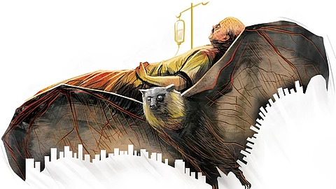 In tests conducted in previous years, the state health department, in association with the Indian Council of Medical Research (ICMR), had identified that fruit bats are the source of the Nipah infection in Kerala.