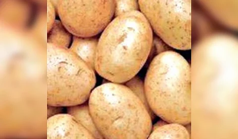 When pointed out that prices in Bhubaneswar and Cuttack continued to be high at Rs 40, the minister alluded to hoarding of the vegetable.