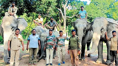 Gajraj returns after 15-day escapade with six females