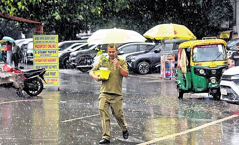 Rain cools Delhi as maximum temp dips below normal, more showers likely