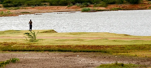 The Manikandam lake in Tiruchy used for representational purposes