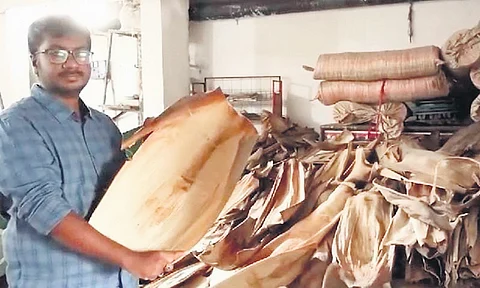 Mallesham’s son shows the leaves used to make the plates, bowls and cups (right) in Rangadhampally of Siddipet district