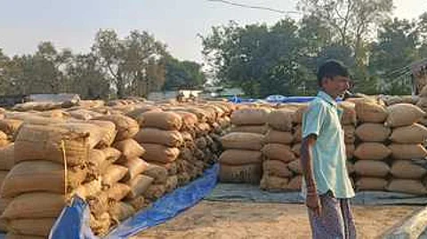 Paddy bags lying in the open.
