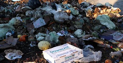 The civic body is planning to set up two BSF composting units in the city over the next four months.