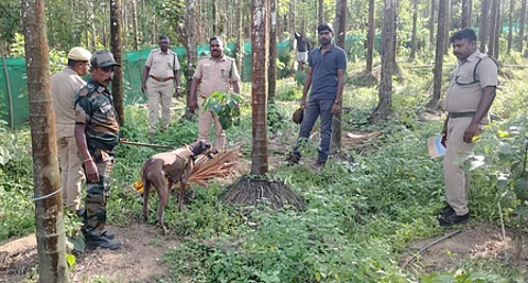 Image of a team of forest staff used for representational purposes only.