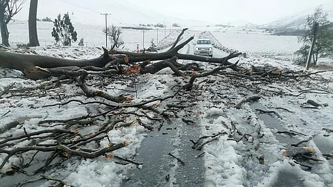 Snow covers the N2 road heading to Nolangeni, South Africa, Tuesday, June 10, 2025.