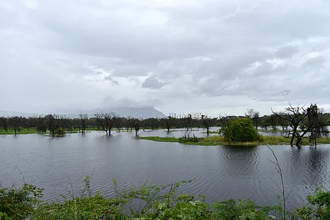he Narasamapathi Lake in the Coimbatore City Municipal Corporation (CCMC) which is the least polluted water body in the city limits, is set to reach its full storage capacity for the first time this year.
