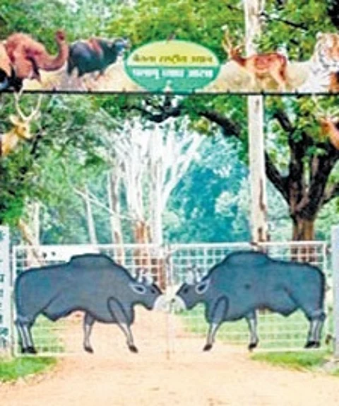 In a 1st, Japan technique to help boost
forest cover outside Palamu reserve