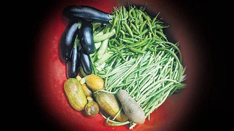 Organic vegetables harvested in the region.