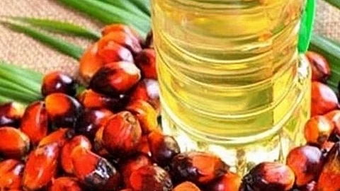 Image of palm oil used for representational purposes only.