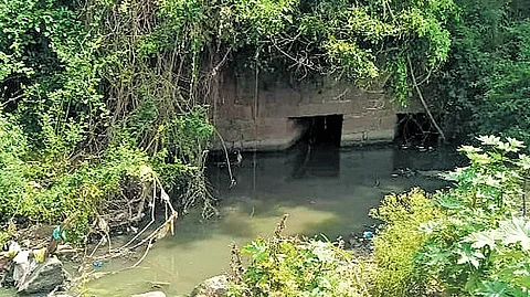 Untreated sewage from Srirangapatna flowing into Cauvery at this point