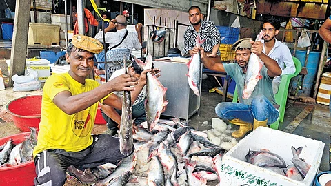 Vendor showcases fish to customers