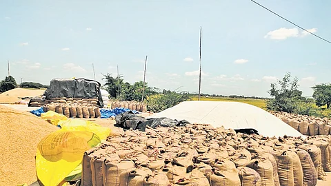 According to officials, the NCCF had procured paddy worth Rs 810 crore from 24,000 farmers, of which Rs 667 crore has been paid to 19,000 farmers as of June 20.