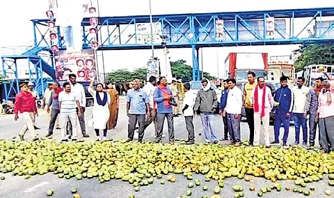 Farmers dump mangoes on the Bangaluru-Chennai Highway near Kondarajanajalli on Tuesday.