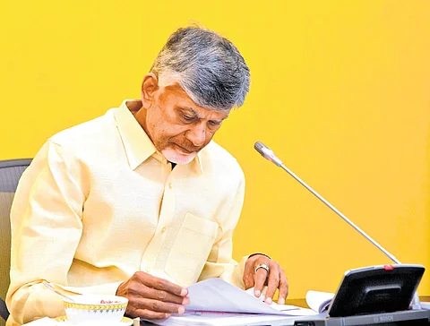 Chief Minister N Chandrababu Naidu