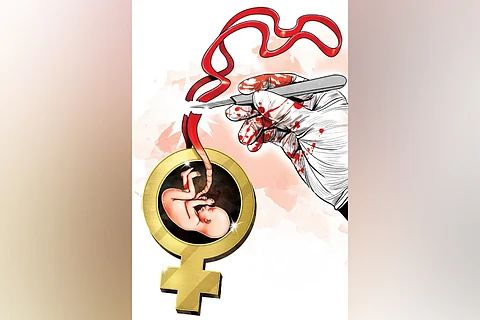 Regardless of whether the foetus was male or female, sex determination itself is illegal.