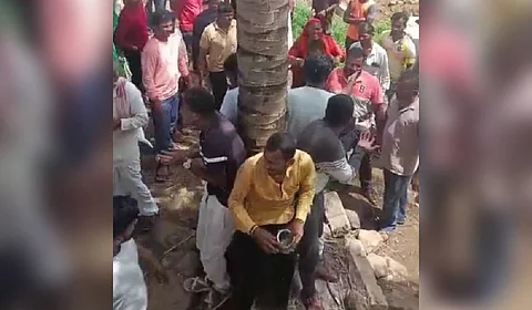 The confrontation soon escalated into violence, with the cow owners allegedly tying the activists to a tree and assaulting them.