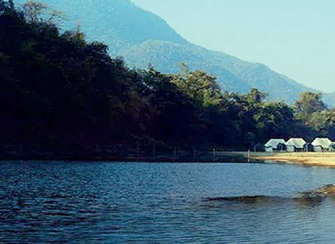 The bridge is also set to cut through the Satkosia gorge sanctuary, the only site in the state