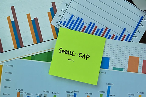How Bajaj Finserv Small Cap Fund finds opportunity in volatility