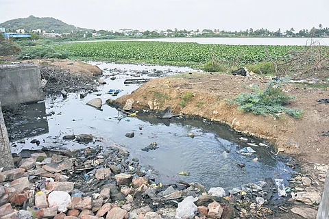 Sewage discharge has polluted the Potheri Lake in Pallavaram.