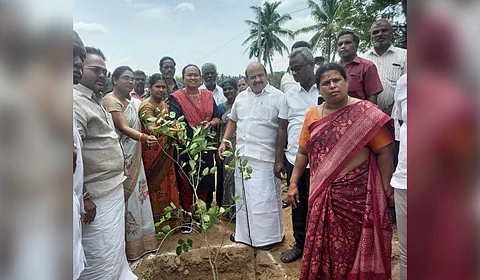 The collector has instructed officials to ensure the maintenance of the saplings for a period of one year