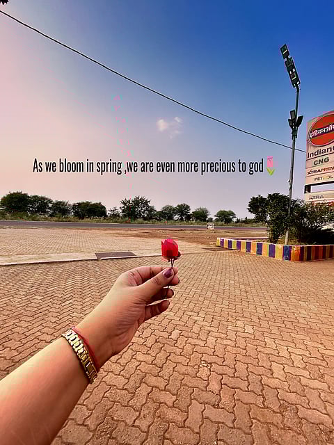 What Wildflowers Taught Me About Life