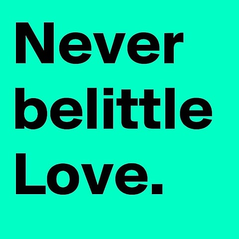 Book Review: Never belittle love