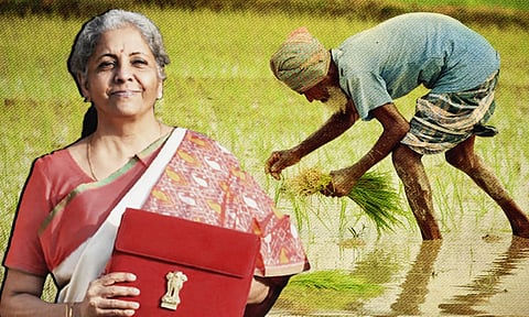 Budget 2024: Nirmala Sitharaman Signals support to Farm Sector